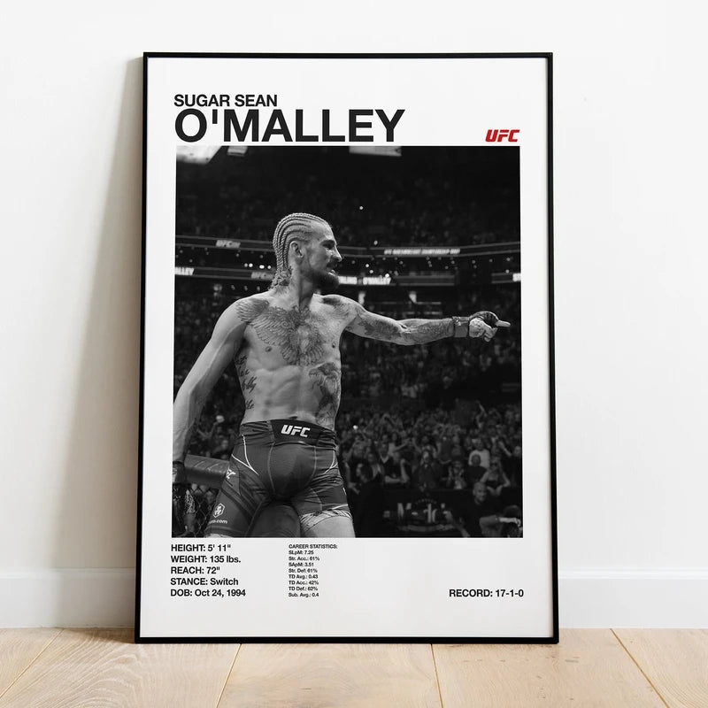 Black & White Combat Sports Canvas Poster – Unframed Print